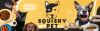 Squishy Pet