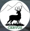 CERVUS
