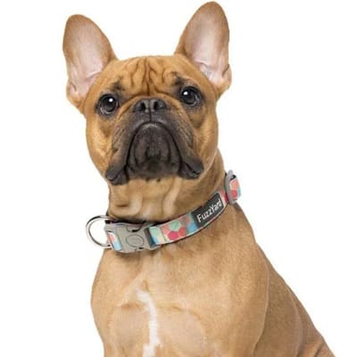 FUZZYARD DOG COLLAR CON SEGURO DISEÑOS1