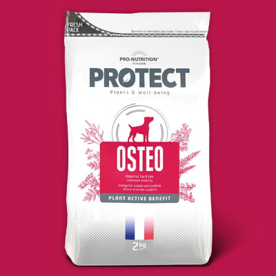 PROTECT OSTEO CANINO 12KG
