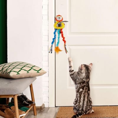 GIGWI SCRATCH DOOR HANDLE TEASER LEÓN1