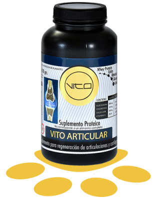 VITO PERRO ARTICULAR SUPLEMENTO 100GR