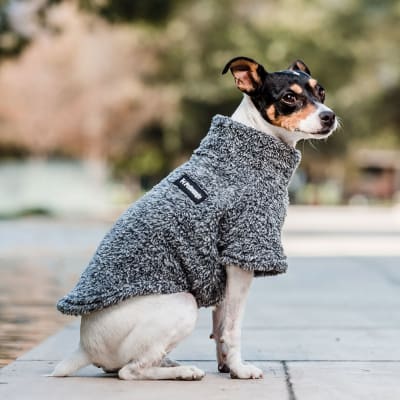CORDERITO JASPEADO PETLOUNGE TALLA 0