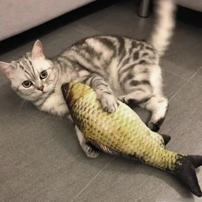 MARBEN PETS PELUCHE PESCADO CARPA/SALMÓN S/M