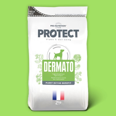 PROTECT DERMATO CANINO 2KG