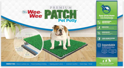 WEE-WEE PATCH PET POTTY1