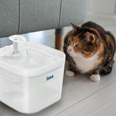 IMA FUENTE DE AGUA AUTOMÁTICA 2.2L