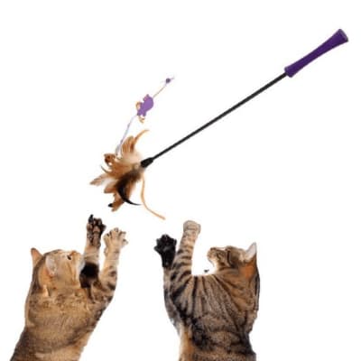 GIGWI FEATHER TEASER VARILLA PLUMA RATÓN 75CM1