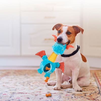 GIGWI WILD HUNTER DISPENSER TREAT DRAGÓN1