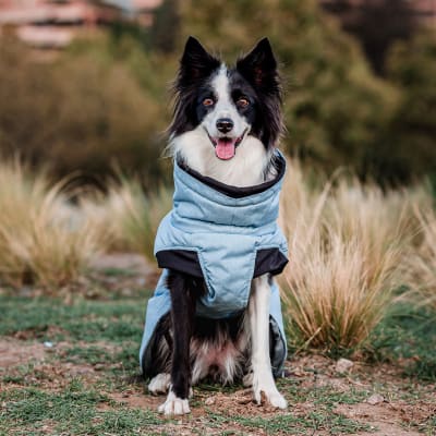 PARKA PETLOUNGE DRY AND COMFY L1