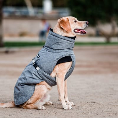 PARKA PETLOUNGE DRY AND COMFY M1