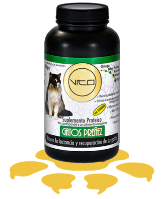 VITO GATO PREÑEZ 100GR1