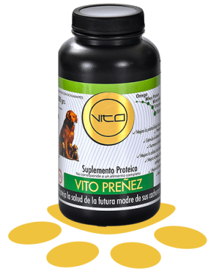 VITO PERRO PREÑEZ 100GR