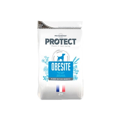 PROTECT OBESITE CANINO 12KG