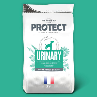 PROTECT URINARY CANINO 2KG