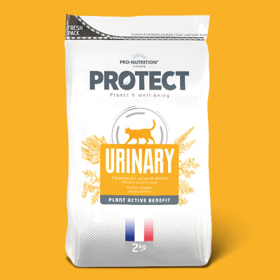 PROTECT URINARY FELINO 2KG / 8KG