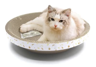 RASCADOR CUENCO PARA GATOS