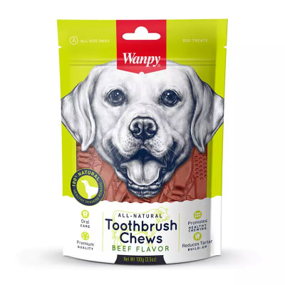 WANPY TOOTHBRUSH CHEWS BEEF FLAVOR 100GR
