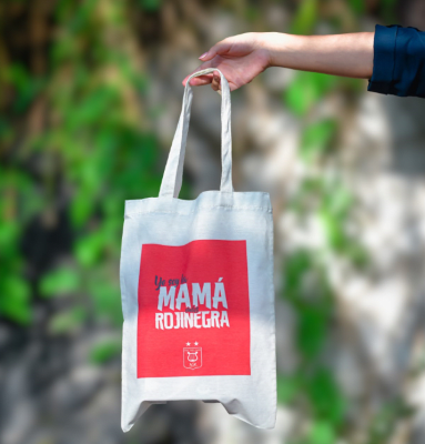 BOLSA ECOLOGICA MAMÁ