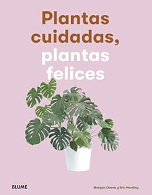 Plantas cuidadas, plantas felices
