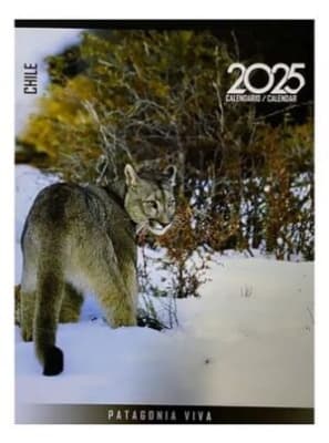 CALENDARIO PARED PATAGONIA 2025