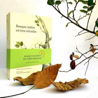 Bosque Nativo En Tres Miradas (Pack de 4 Libros)