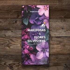 Guia Plegable Mariposas y Flores Silvestres de Chile Central