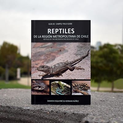Reptiles de la Región Metropolitana de Chile