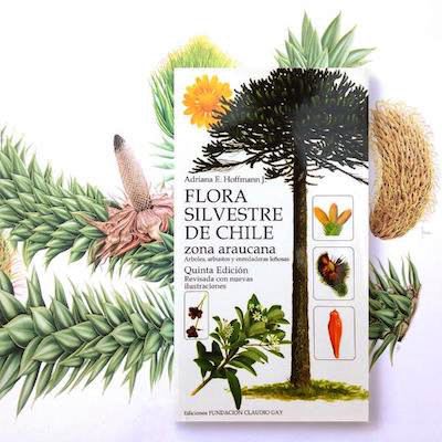 Flora Silvestre De Chile Zona Araucana