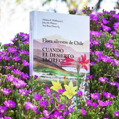 Cuando el Desierto Florece
