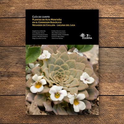 Plantas de alta montaña en el Corredor Biológico Nevados de Chillán – Laguna del Laja
