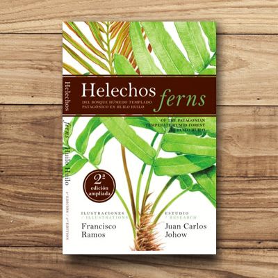 Helechos del Bosque Húmedo Templado Patagónico en Huilo Huilo