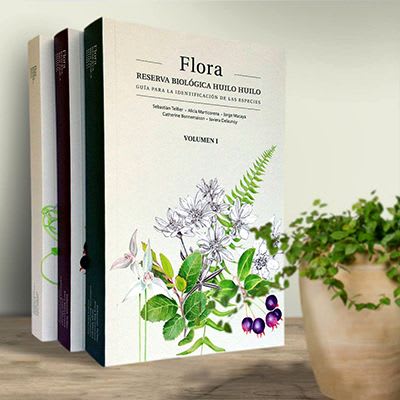 Flora Reserva Biologica Huilo Huilo 3 Tomos