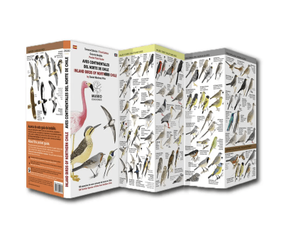 Guia Plegable Guía Aves Continentales del Norte de Chile