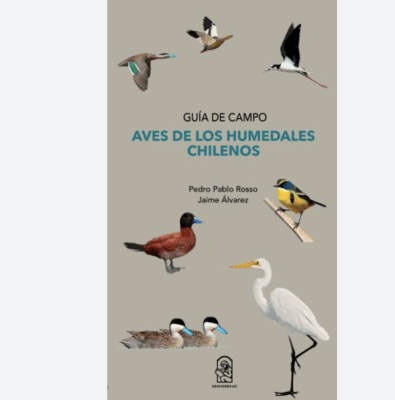 Aves De Los Humedales Chilenos. Guia De Campo