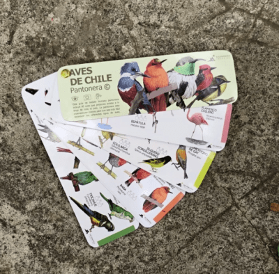 Pantonera aves de chile