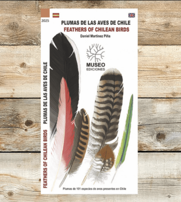 Guia de bolsillo Plumas de aves de chile