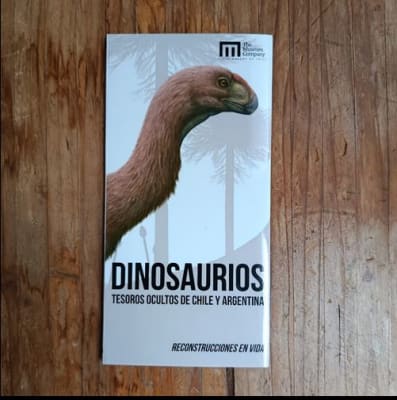 Guia Plegable Dinosarios-tesoros ocultos