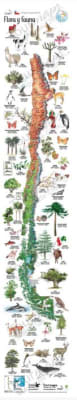 Mapa flora y fauna de Chile desplegable