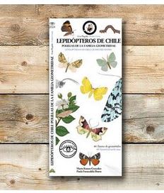 Guia Plegable Lepidopteros de Chile