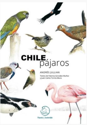 Chile Pájaros - Andrés Jullian (Autor) · Paloma González Muñoz (Autor)