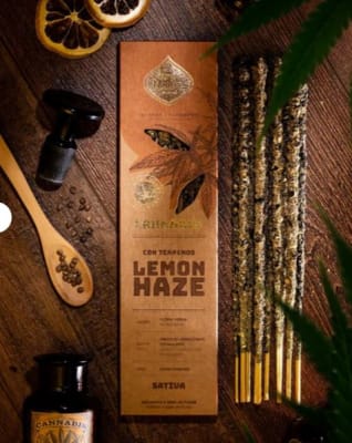 Sahumerio Varilla Lemon Haze - Sagrada Madre