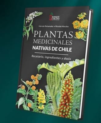 Plantas medicinales nativas de Chile