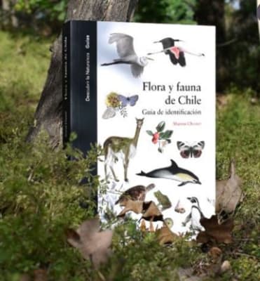 Flora Y Fauna De Chile Guia De Identificacion