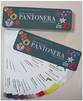 Pantonera Flora Silvestre - Chile Central