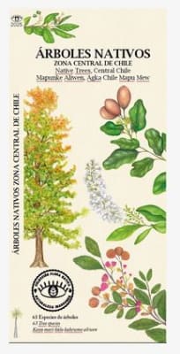 Arboles Nativos Zona Central De Chile