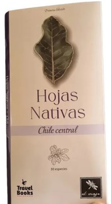 Hojas Nativas Chile Central