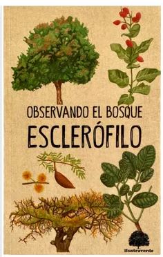 Observando el Bosque Esclerófilo - Claudia Ortíz (Autor)