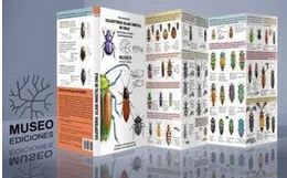 Guia Plegable Coleópteros de Chile