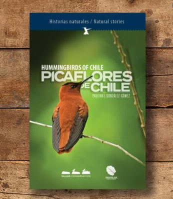 Picaflores de Chile